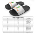ZV SLIDES 2